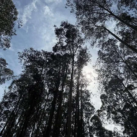 Apartamento Atalaya Turísticos